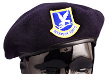 SECURITY FORCES BERET INCLUDES Enlisted Flash - Click Image to Close